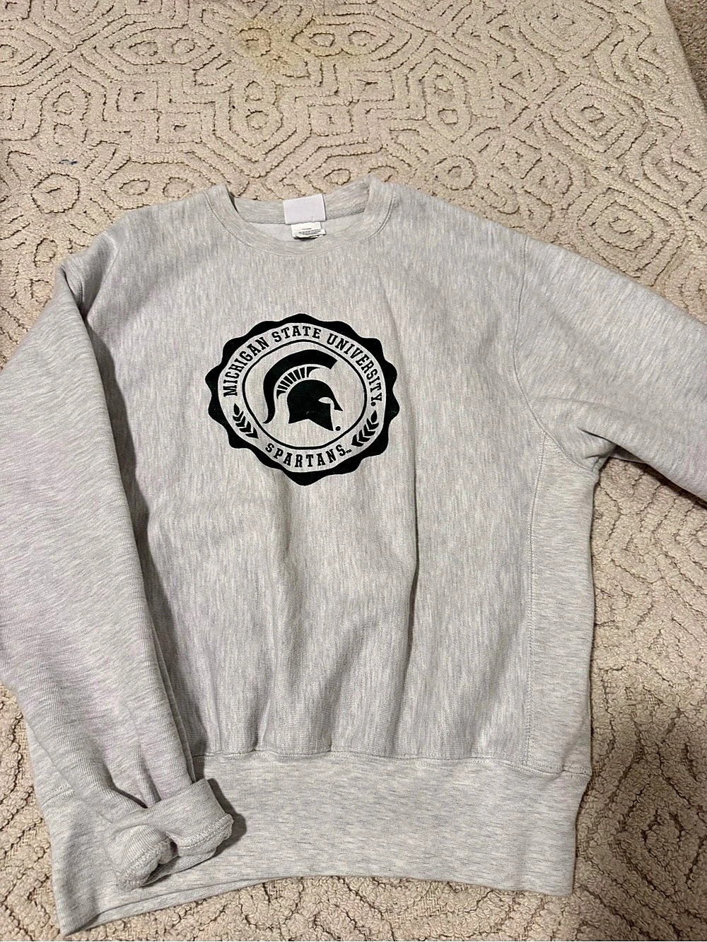 Champion Michigan State Spartans Reverse Weave Crew Sweatshirt